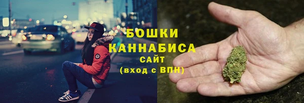 mix Богородицк